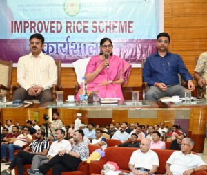 छत्तीसगढ़ में लागू होगी इम्प्रूव्ड राईस स्कीमखाद्य सचिव