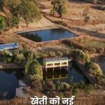 युवा किसान अंकित लकड़ा ने मछली पालन, मुर्गी पालन और बागवानी को जोड़कर तैयार किया एकीकृत कृषि मॉडल